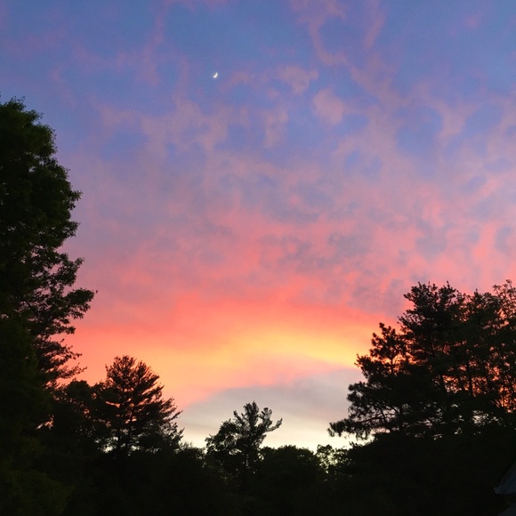 Meet your Posher, Virginia - Picture 1 of 1